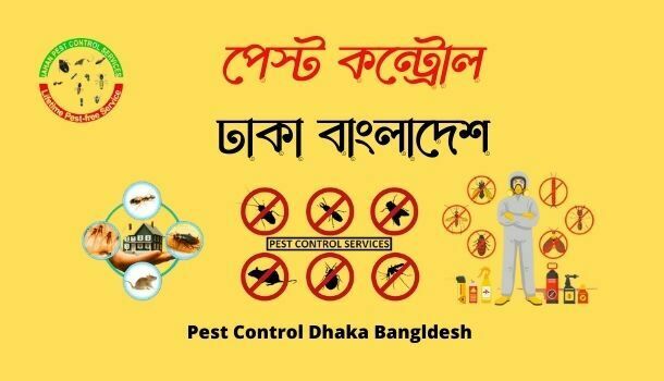 All about Pest Control Dhaka Bangladesh